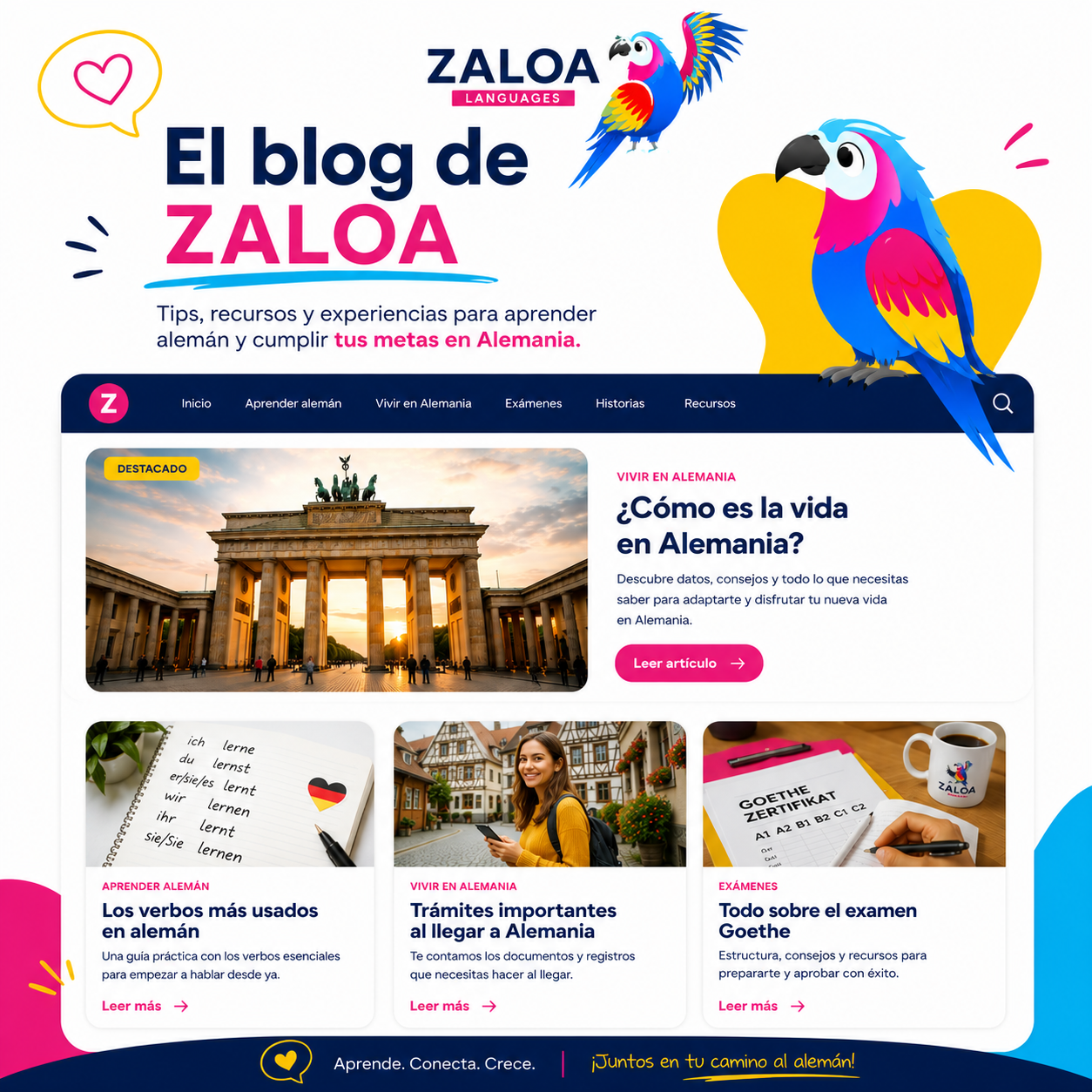 BLOG DE ZALOA